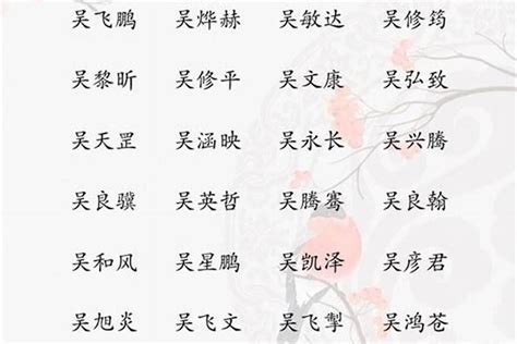 吳姓取名|吴姓男孩取名：简单大气好听独一无二的名字大全